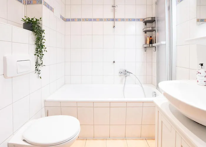 Marek, App 106 شيمنيتز